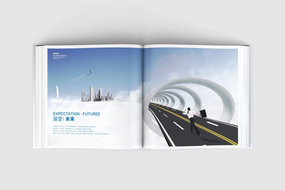 浔阳区画册设计